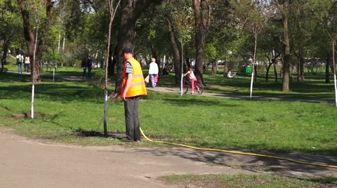 Janitor watering the trees in the park Stock Footage 49526792