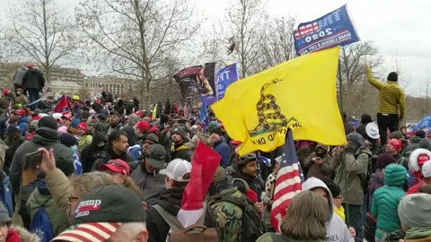 January 6th Trump Protest March - Gadsden flag in crowd Stock Footage