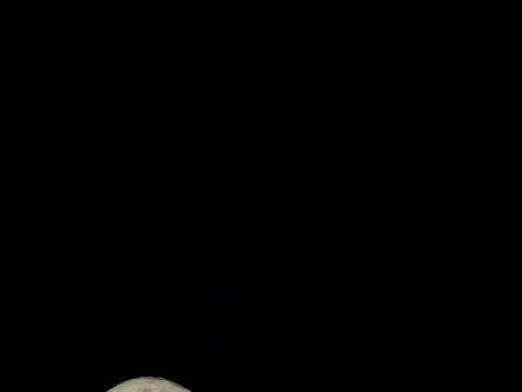 January Wolf Moon 99.4% Full.  Waning Gibbous.  Time Lapse. 動画素材 71441691