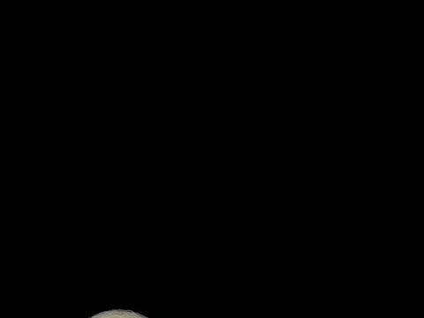 January Wolf Moon 99.4% Full.  Waning Gibbous.  Time Lapse. Stock Footage 71441864