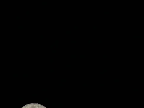 January Wolf Moon 99.4% Full.  Waning Gibbous.  Time Lapse. Stock-Footage 71442287