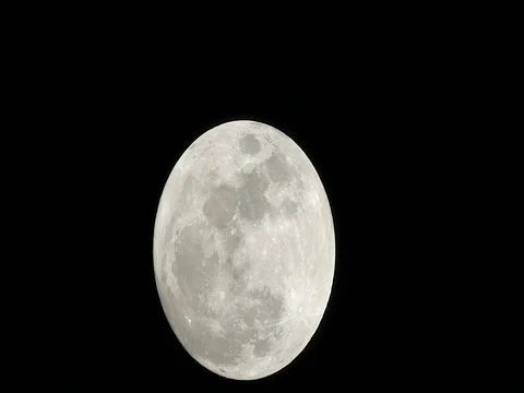 January Wolf Moon 99.6% Full.  Waxing Gibbous. Stock-Footage 71340650