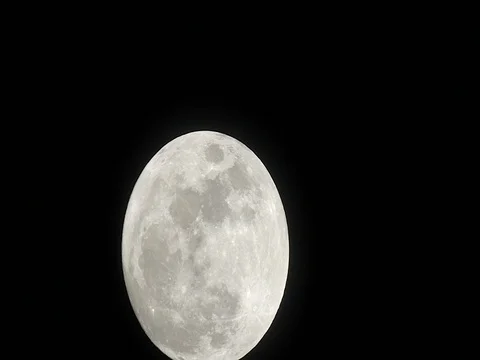 January Wolf Moon 99.6% Full.  Waxing Gibbous. 스톡 동영상 71357626
