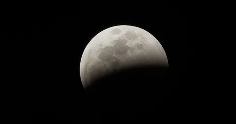 January Wolf Moon Stock Footage 101619827