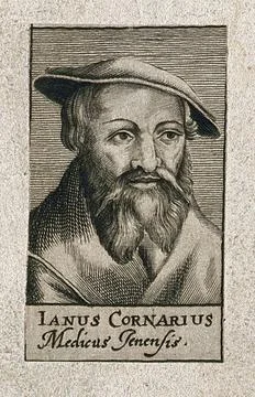 Janus Cornarius. Line engraving, 1688. Stock Illustration