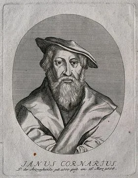Janus Cornarius. Line engraving. Stock Illustration