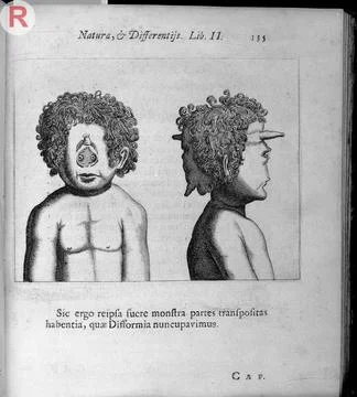 Janus head or two-faced man Stock Illustration