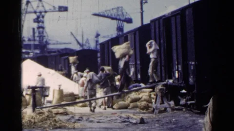JAPAN-1953: Men Loading Large Bags Of Feed Into The Side Cars Of A Train Stock Footage 125231276