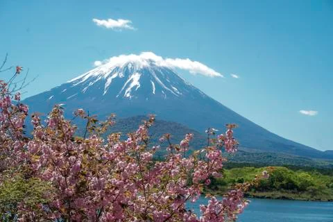 Japan 9245 Stock Photos