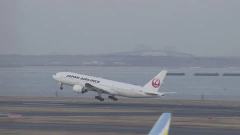 Japan Airlines Boeing 777-200 Passenger Airplane Take Off, Tokyo Haneda, Evening Stock Footage 172417594