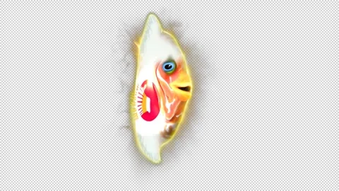 Japan alpha Stock Footage 259840451