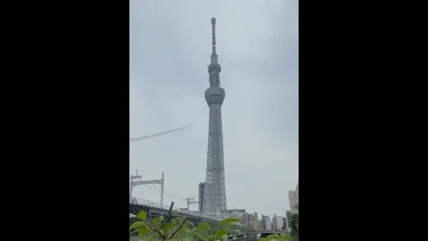 Japan: Blue Impulse Flyover Ahead Of Tokyo Paralympic Games Opening Stock-Footage 170474600