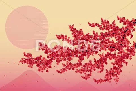 Japan Cherry Branch