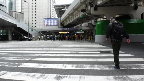 JAPAN : Crowd of people walking down the street. Slow motion shot. Stock Footage 248522482