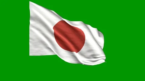 Japan Flag Animation Stock Footage 116296815