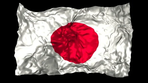Japan flag Stock Footage 110817845