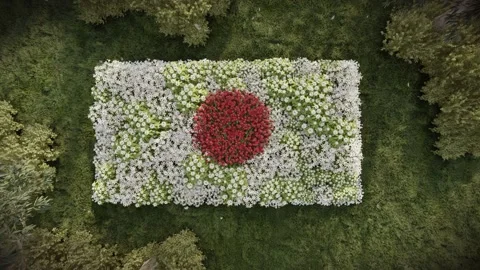 Japan flower flag Stock Footage 220463972