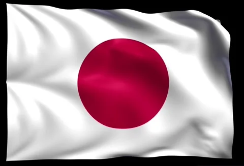 Japan Stock Footage 306510692