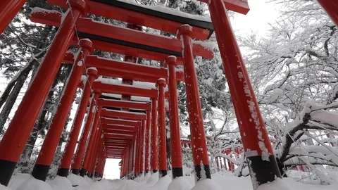 Japan Footage (Winter) Stock Footage