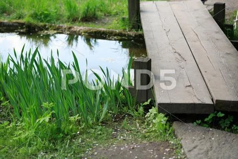 Japan garden Stock Photos