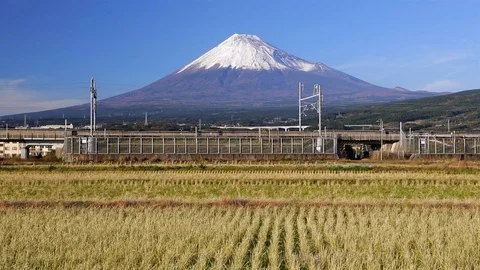Japan, Honshu, Mount Fuji, Shinkansen Bullet Train passing through harvested Stock Footage