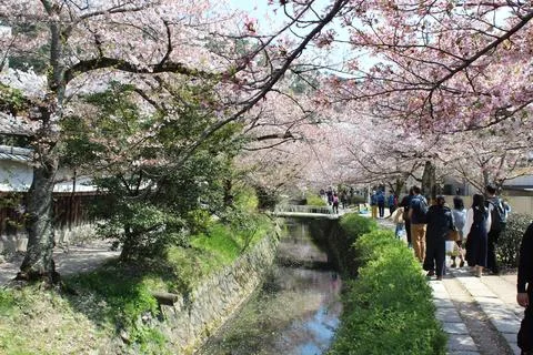 Japan Image Stock Photos