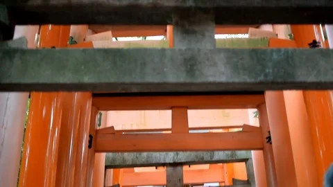 Japan orange Torii Stock Footage 79275202