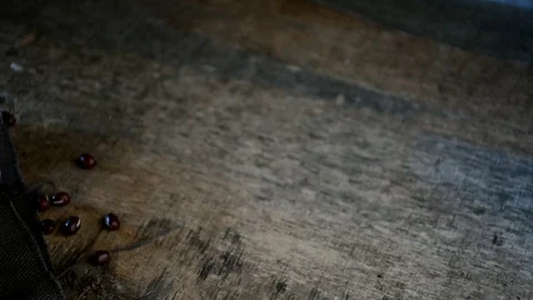 Japan red beans  Stock Footage 82892701