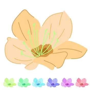 Japan sakura cherry blossom vector cartoon graphic Illustration