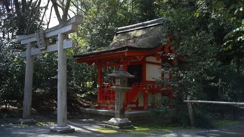 Japan shinto shrine Stock Footage 330760124