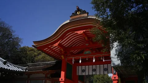 Japan shinto shrine Stock Footage 330760128