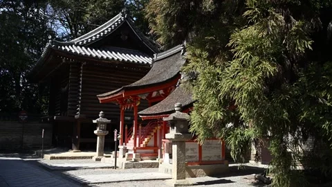 Japan shinto shrine Stock Footage 330760138