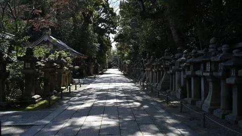 Japan shinto shrine Stock Footage 330760139