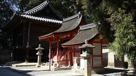 Japan shinto shrine Stock Footage 330760144