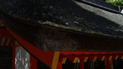 Japan shinto shrine Stock Footage 330760153