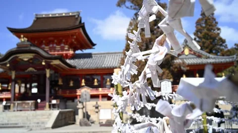 Japan shinto shrine Stock Footage 330760162