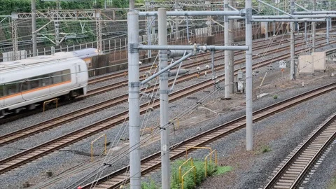 Japan Swallow Akagi Train Stock Footage 95568566