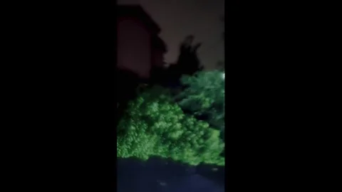 Japan: Typhoon Jangmis Violent Winds Bring Down Trees in Their Path 3 Stock Footage 336234548