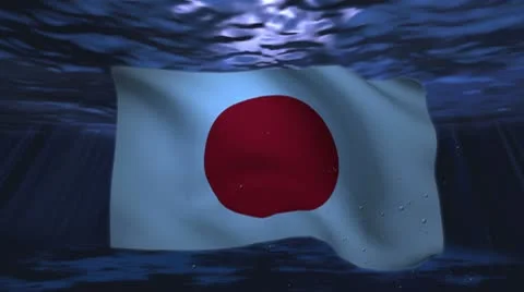 Japan underwater background for negative image footage Stock Footage 10598444
