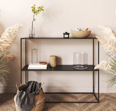 Japandi boho beige interior hallway with black console and green plant 库存插图