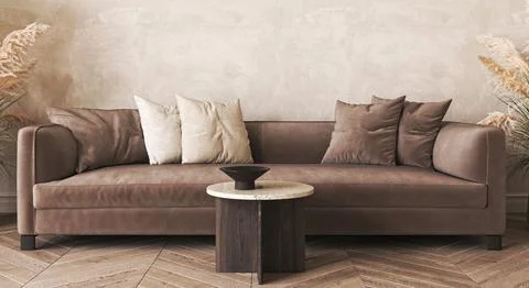 Japandi boho beige interior with sofa and dry plant background. Light modern Stock-Illustration