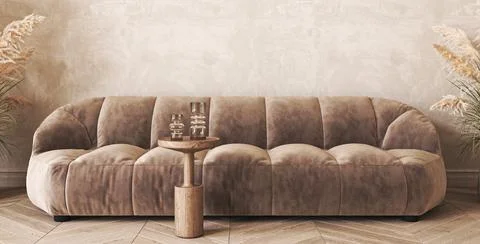 Japandi boho beige interior with sofa and dry plant background. Light modern Stock Illustration