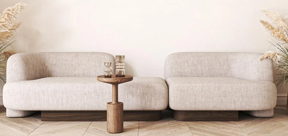 Japandi boho beige interior with sofa and dry plant background. Light modern Stock-Illustration
