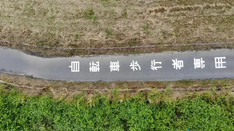 Japanese Bike Path 動画素材 92000225