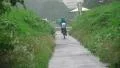 Japanese Bike Rider Goes Around Barrier On Pathway Full On Green Plants 4K 4k or 4k+ Resolution