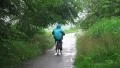 Japanese Bike Rider On Green Forest Path On Rainy Day 4K 4k or 4k+ Resolution