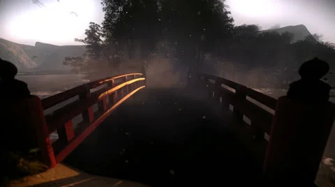 Japanese bridge Stock-Footage 24791182