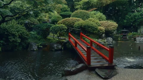 Japanese Bridge Reflected in Rain Puddle Stock Footage 343708543