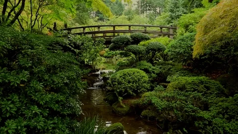 Japanese Bridge Stream Stock Footage 105070989