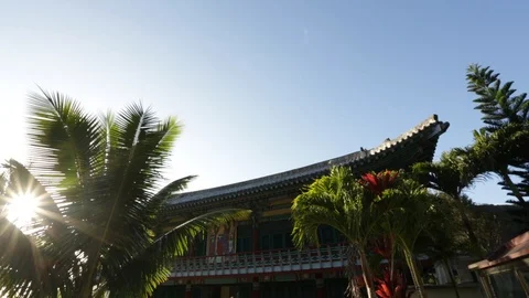 Japanese Building Stock Footage 105323857